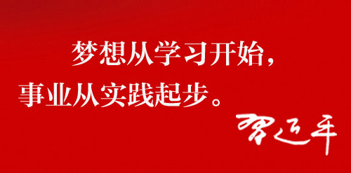 习近平：在经济社会领域专家座谈会上的讲话